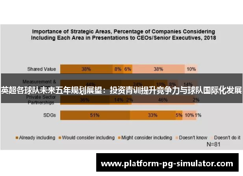 英超各球队未来五年规划展望：投资青训提升竞争力与球队国际化发展