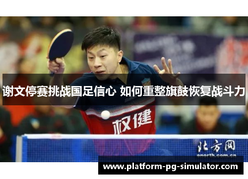 谢文停赛挑战国足信心 如何重整旗鼓恢复战斗力 谢文停赛挑战国足信心 如何重整旗鼓恢复战斗力