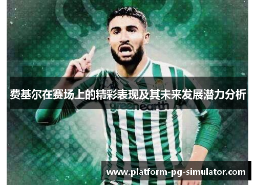 费基尔在赛场上的精彩表现及其未来发展潜力分析 费基尔在赛场上的精彩表现及其未来发展潜力分析
