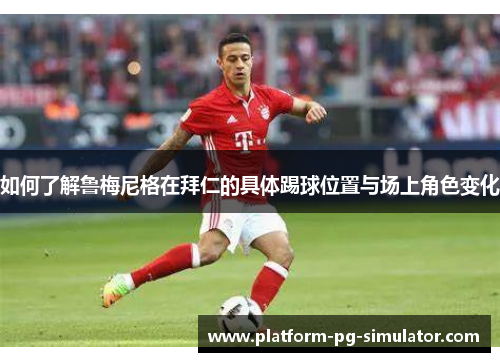 如何了解鲁梅尼格在拜仁的具体踢球位置与场上角色变化