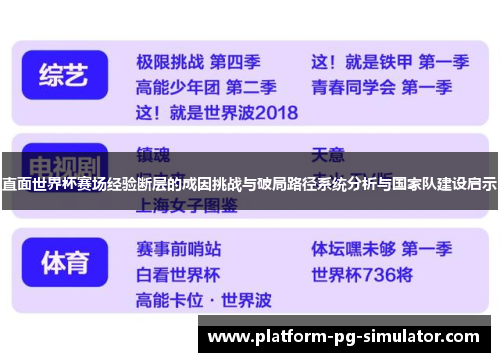 直面世界杯赛场经验断层的成因挑战与破局路径系统分析与国家队建设启示