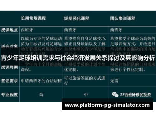 青少年足球培训需求与社会经济发展关系探讨及其影响分析
